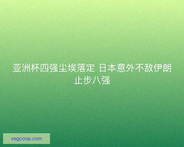 亚洲杯四强尘埃落定 日本意外不敌伊朗止步八强